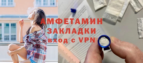 хмурый Аркадак