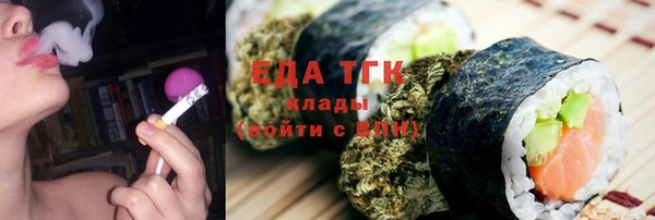 хмурый Аркадак