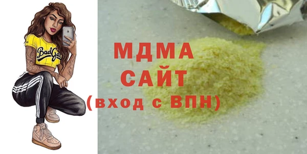 хмурый Аркадак