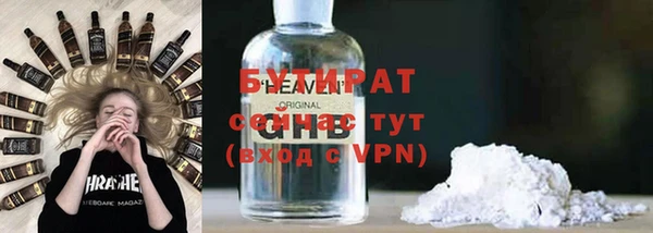 хмурый Аркадак