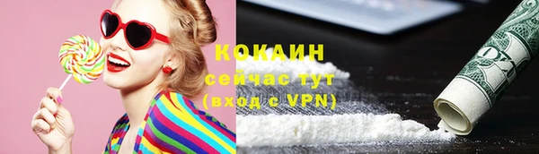 хмурый Аркадак