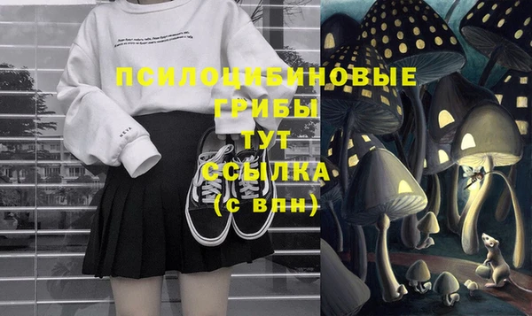 хмурый Аркадак