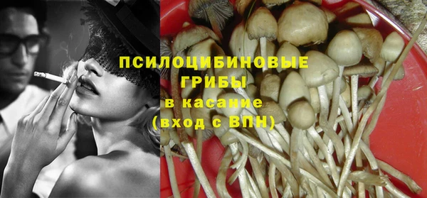 хмурый Аркадак