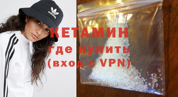 хмурый Аркадак