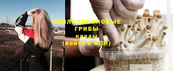 ECSTASY Приозерск